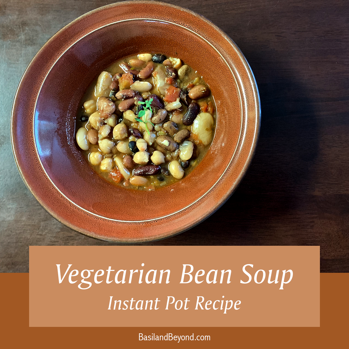 Instant Pot Vegetarian Bean Soup - Meat-free, gluten-free, dairy-free... but full of flavor!