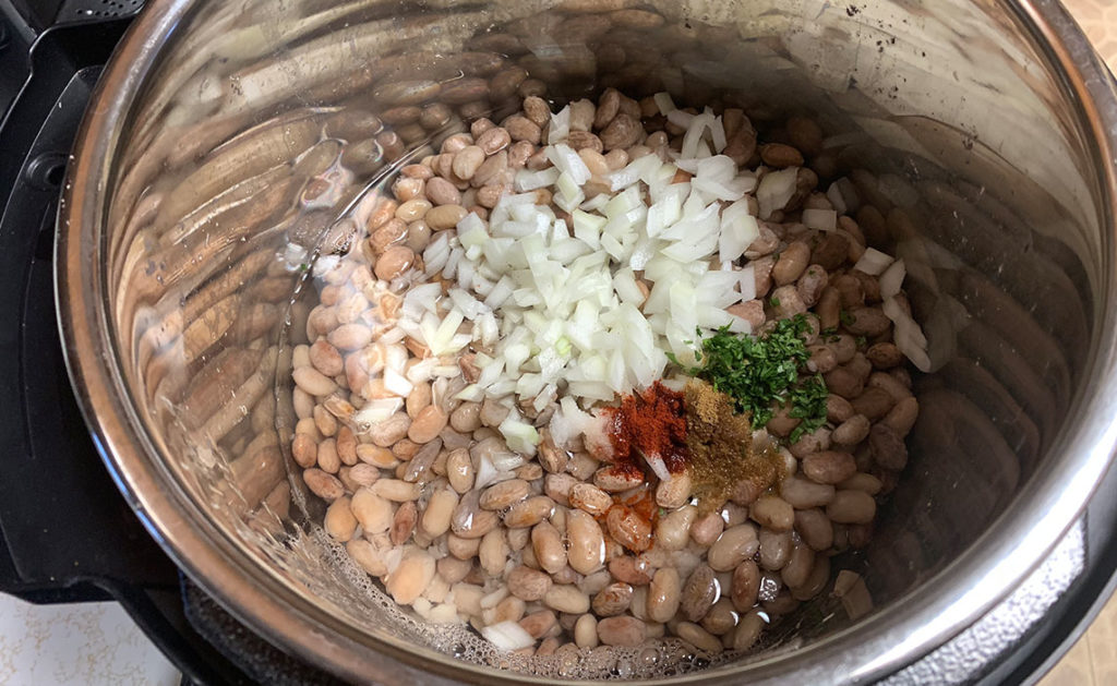 Instant Pot Pinto Beans